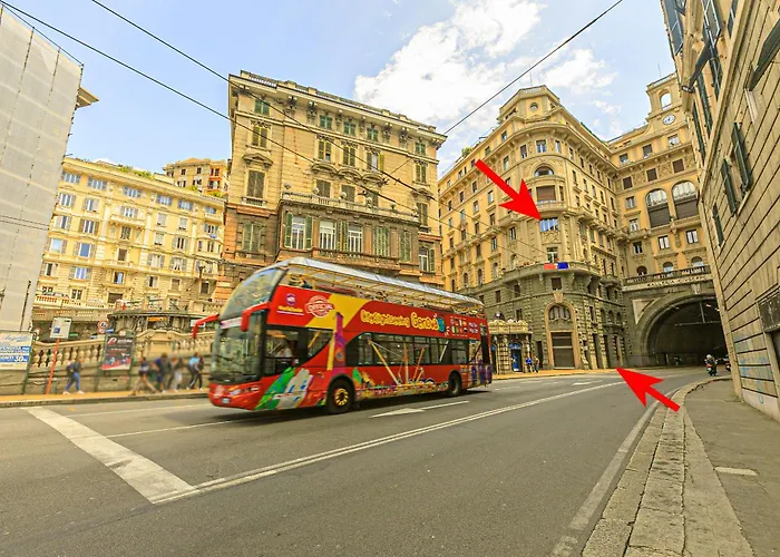 Dclass Acquario White