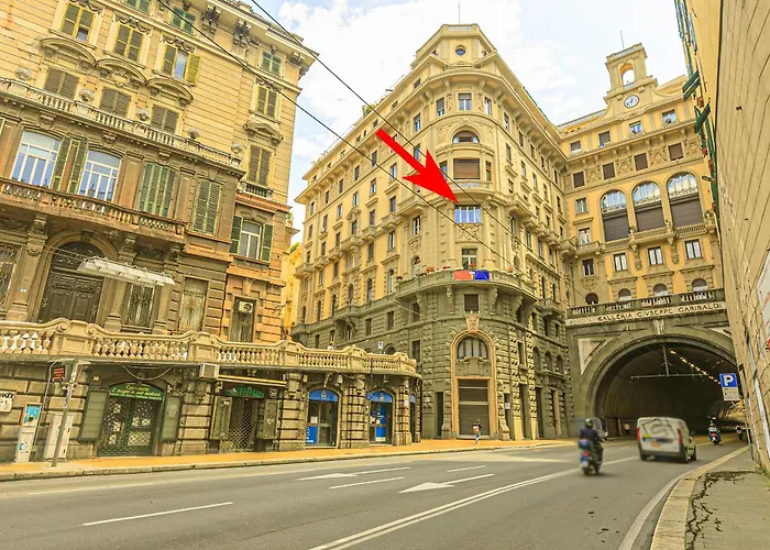 Dclass Acquario White * Cenova