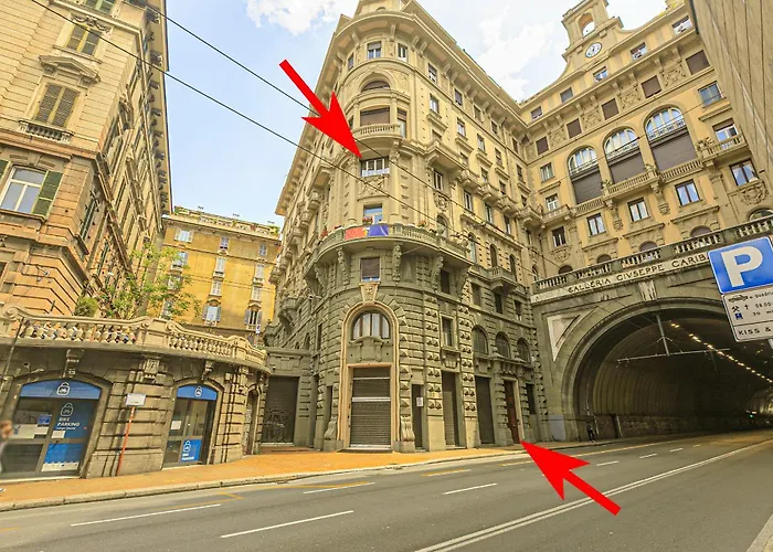 Dclass Acquario White Daire Cenova