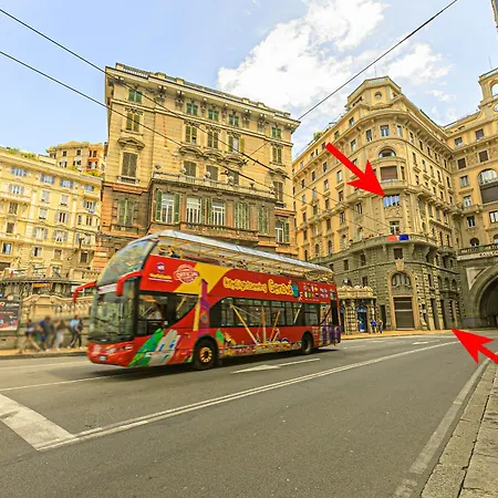 Dclass Acquario White